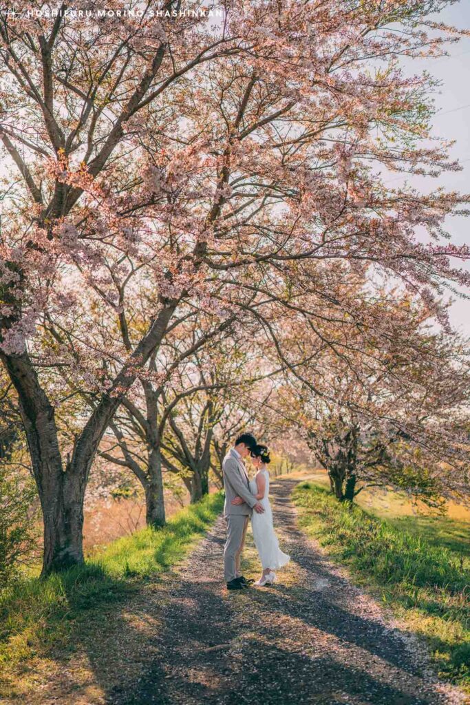 島根県大田市で結婚式の桜前撮り