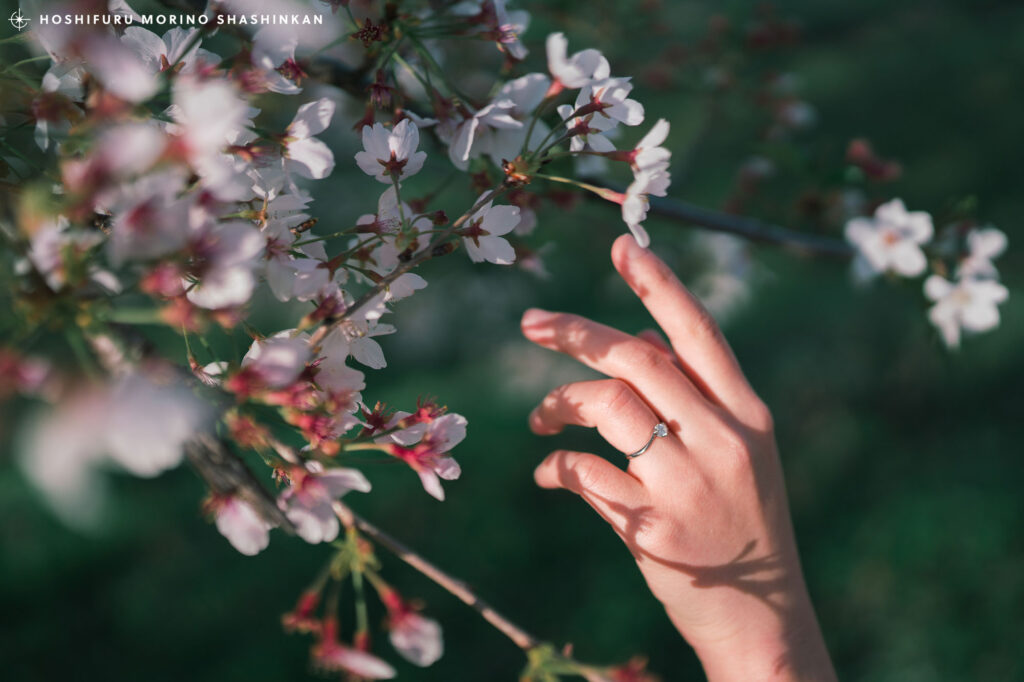 島根県大田市で結婚式の桜前撮り