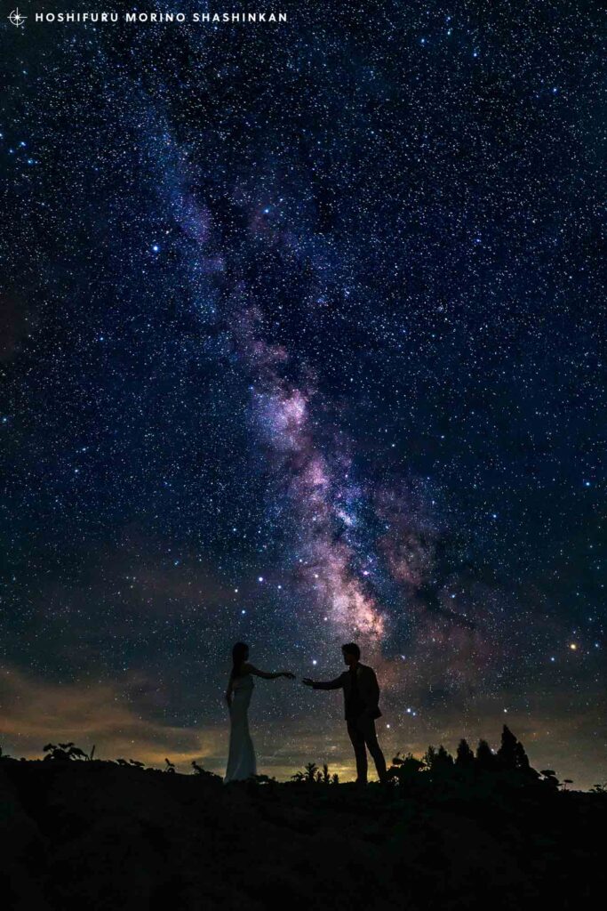 星空・天の川を背景に手を取り合う新郎新婦