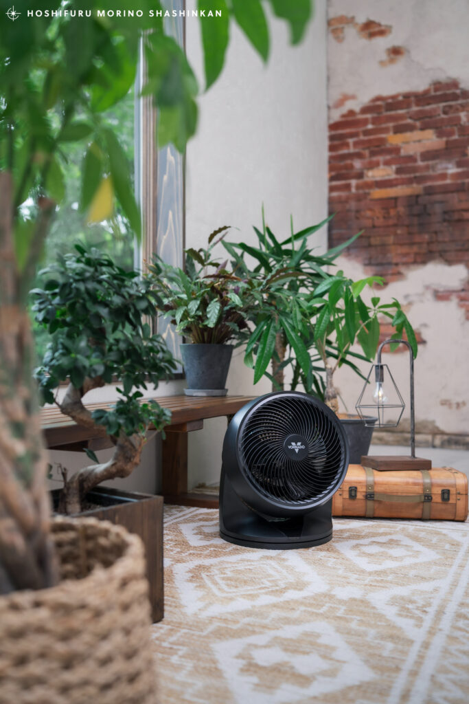 VORNADOサーキュレーターでワンちゃん・ペットも快適に過ごせる環境作り