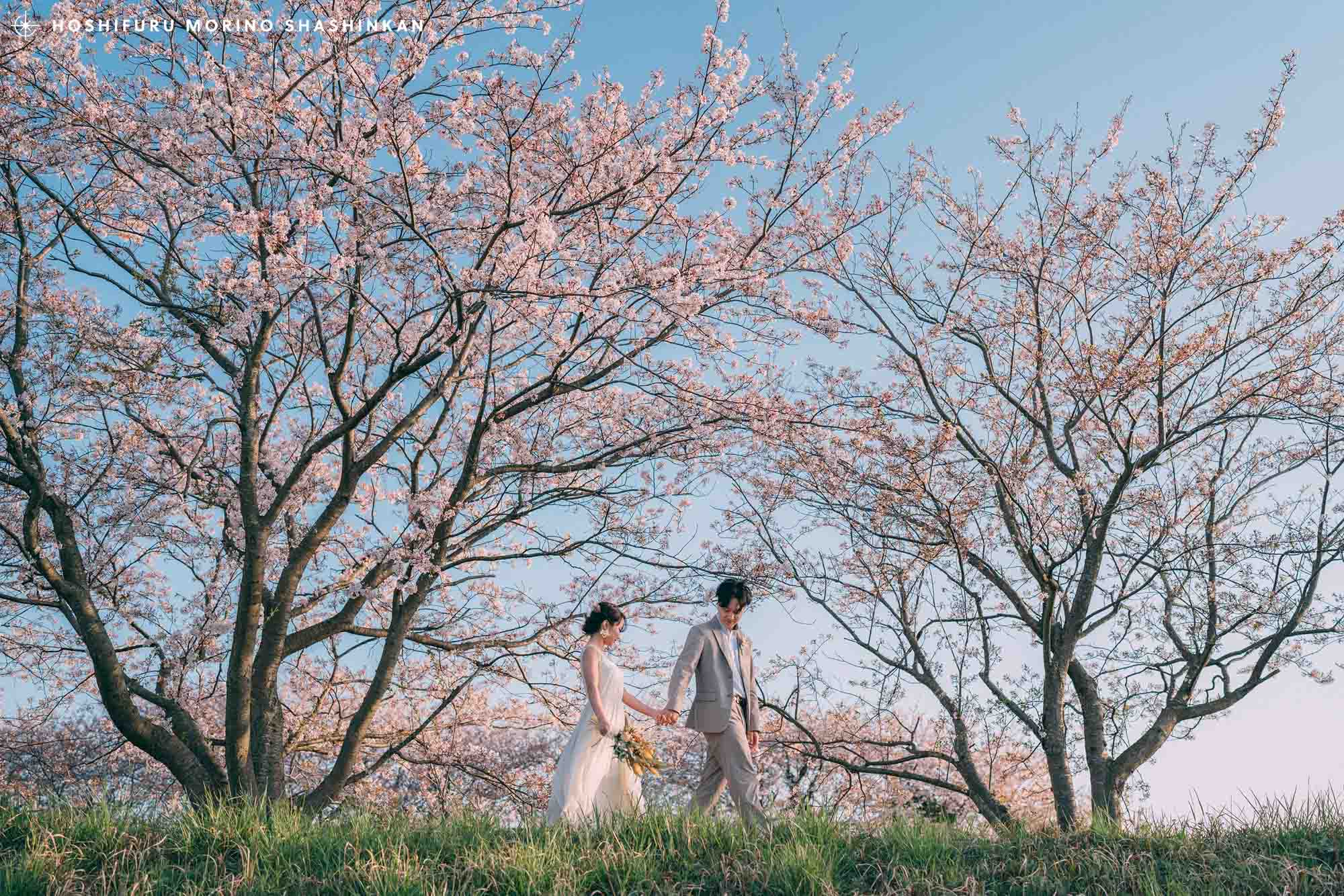 結婚式の桜前撮り｜島根県大田市の桜スポット