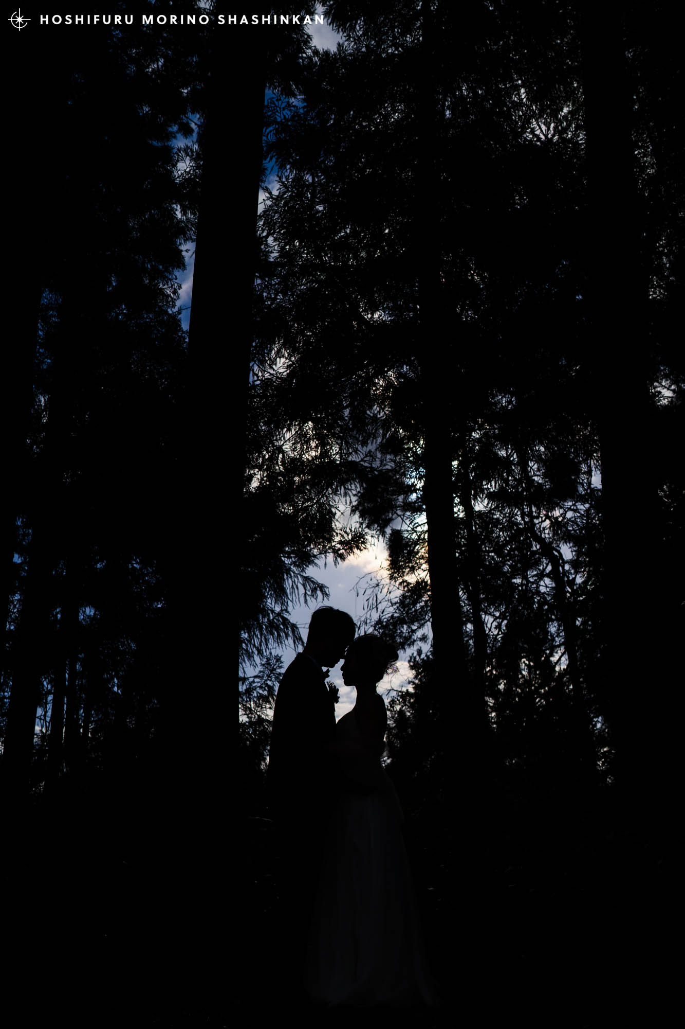 星降る森の写真館でのシルエット写真