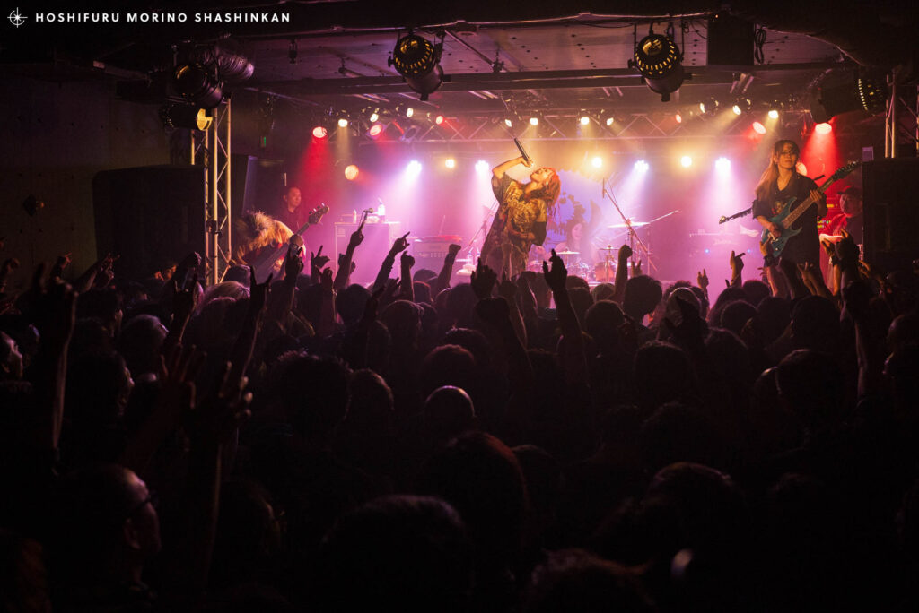 Nemophila - Apple of my eye Release Tour 2025 ツアーファイナル ライブ写真撮影