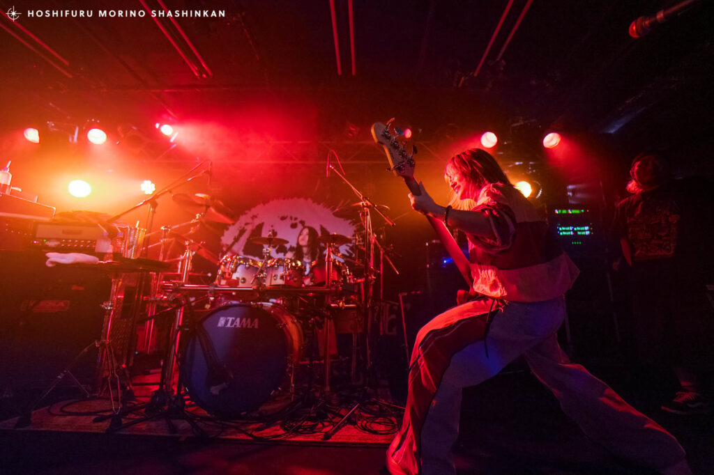 Nemophila - Apple of my eye Release Tour 2025 ツアーファイナル ライブ写真撮影