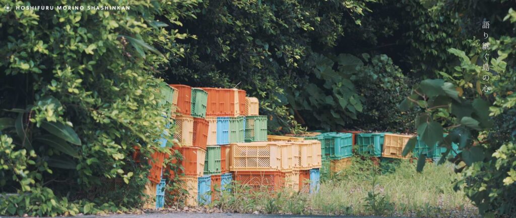 MV - 大山百合香 花ノしずく ミュージックビデオ制作