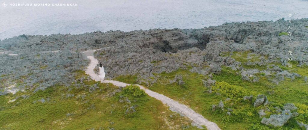 MV - 大山百合香 花ノしずく ミュージックビデオ制作