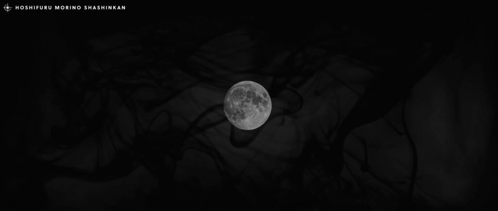 MV / 大山百合香 「monochrome」ミュージックビデオ制作