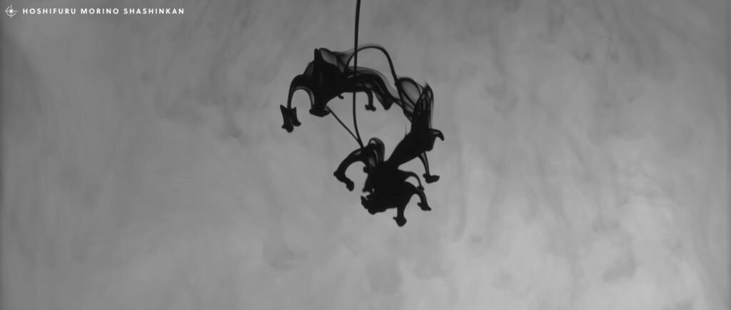 MV / 大山百合香 「monochrome」ミュージックビデオ制作