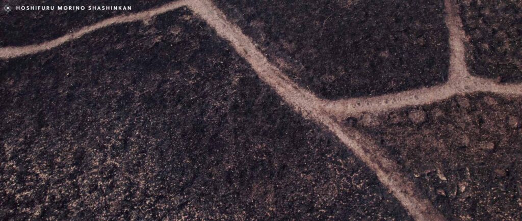 MV / 大山百合香 「monochrome」ミュージックビデオ制作