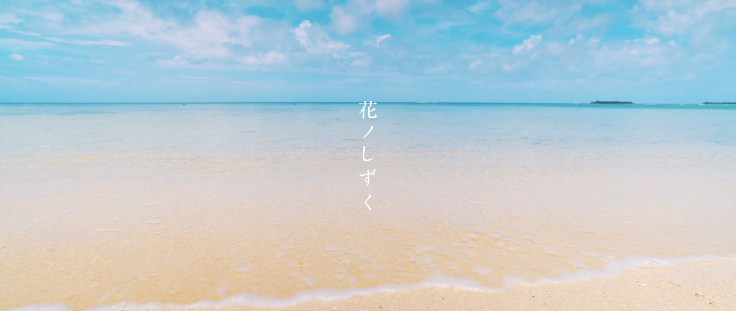 MV | 大山百合香 「花ノしずく」ミュージックビデオ制作