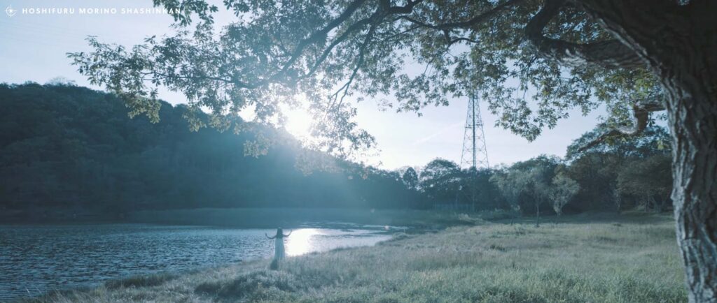 MV / 大山百合香 「Water Lily」ミュージックビデオ制作