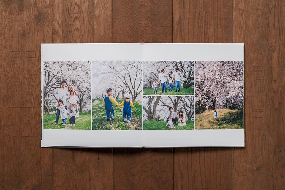 コンパクトアルバムの見開きページ詳細