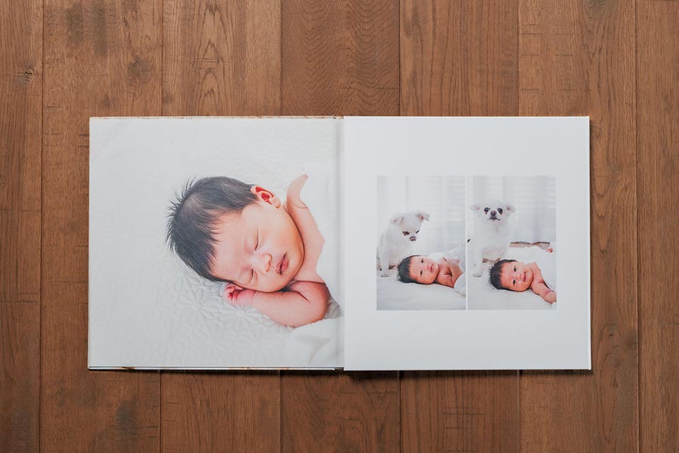 見開きアルバムLサイズの見開きページ詳細1