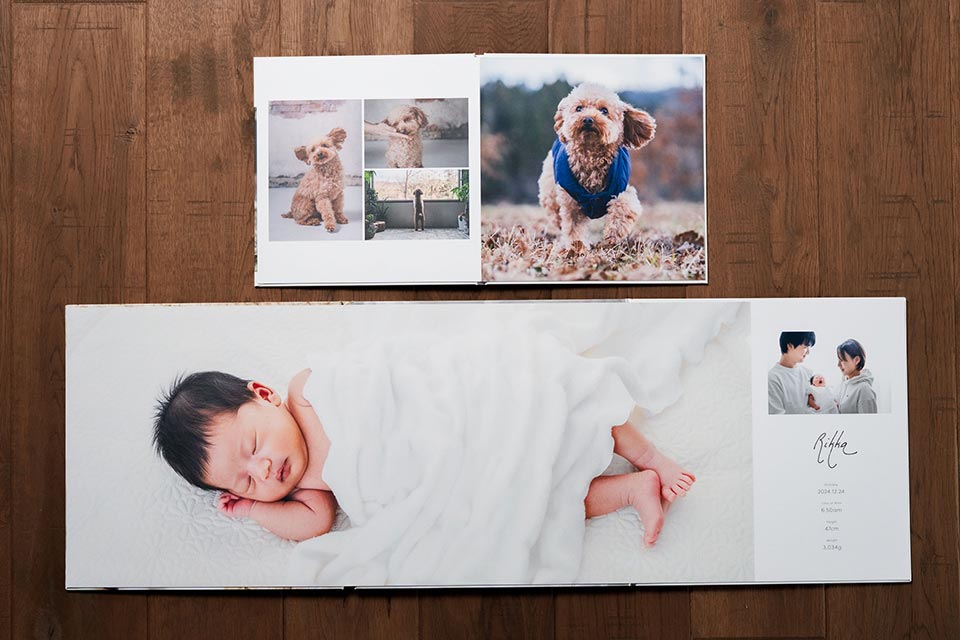 見開きアルバムの見開きページ詳細