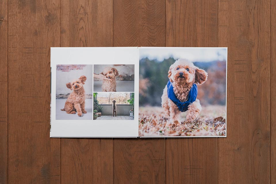 見開きアルバムSサイズの見開きページ詳細