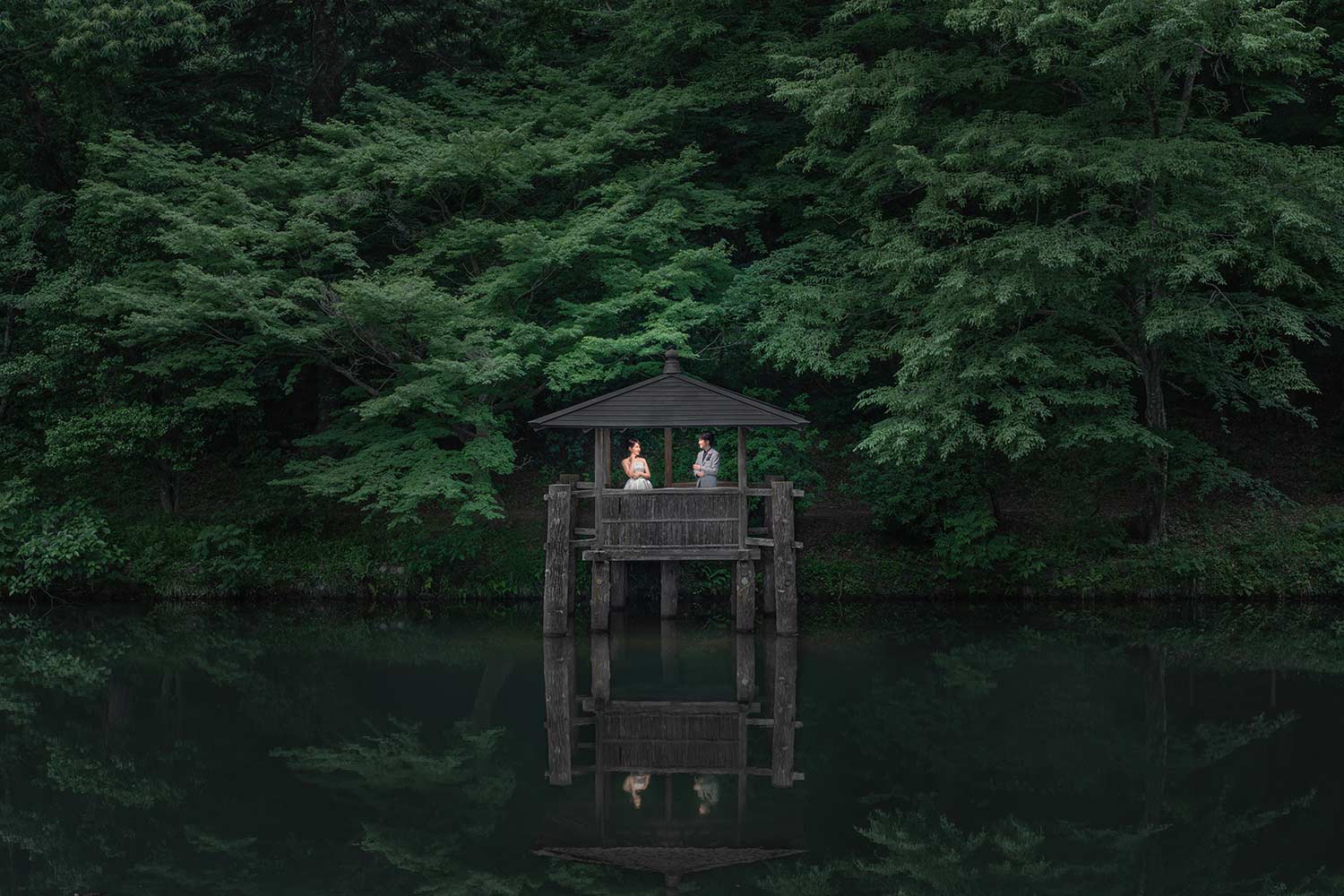 森で撮影した結婚式前撮りの実績